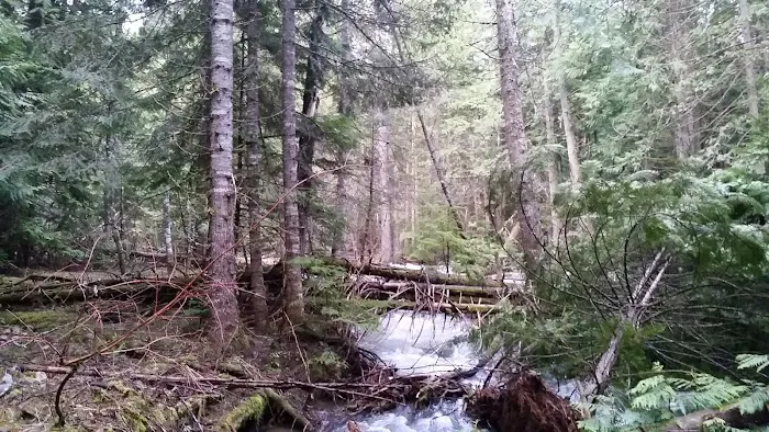Huckleberry Campground Picture 10