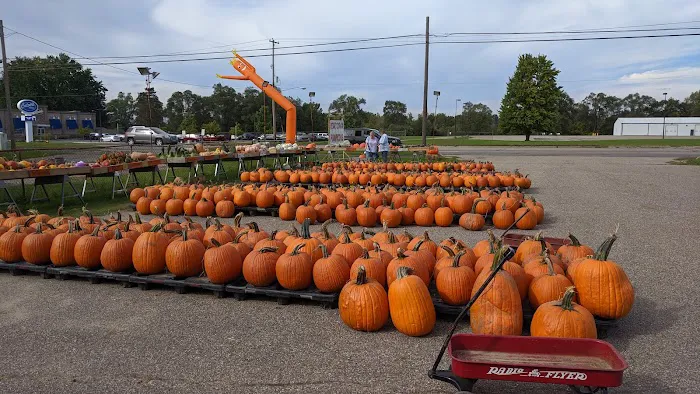 Watson MHC Picture 2