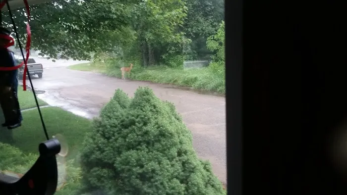 Watson MHC Picture 1