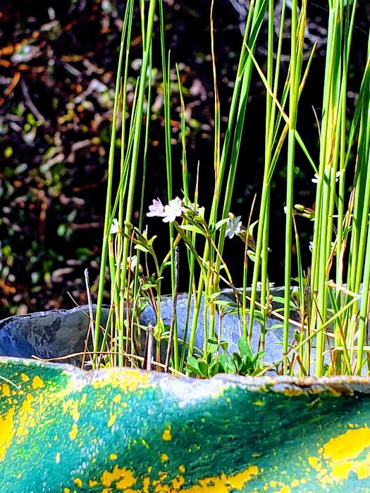 E-Ne-Nuck Campground Picture 1