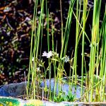 E-Ne-Nuck Campground