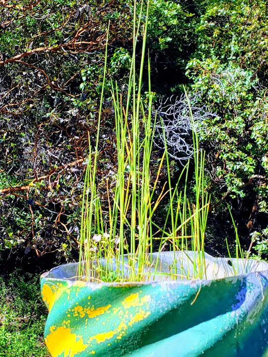 E-Ne-Nuck Campground Picture 4