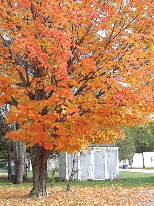 West Point Hills Picture 6