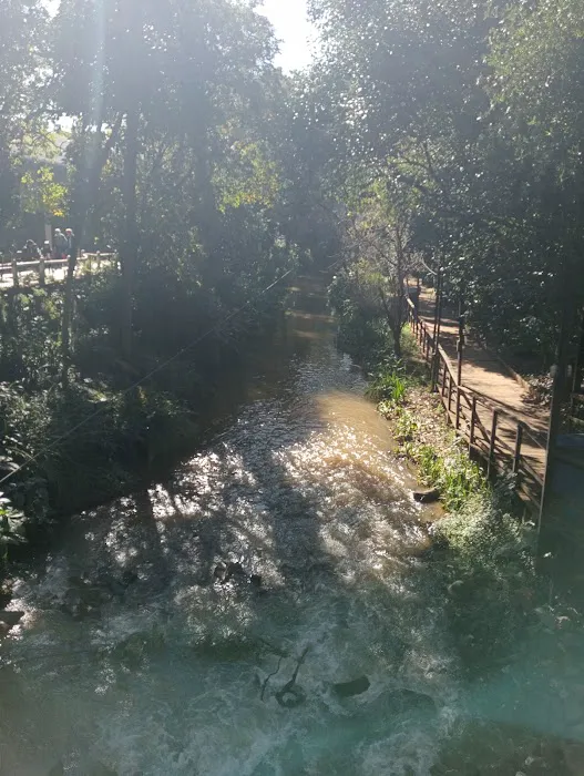 Aikens Creek West Campground Picture 1
