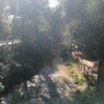 Aikens Creek West Campground