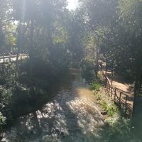 Aikens Creek West Campground ico