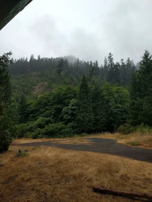 Aikens Creek West Campground Picture 4