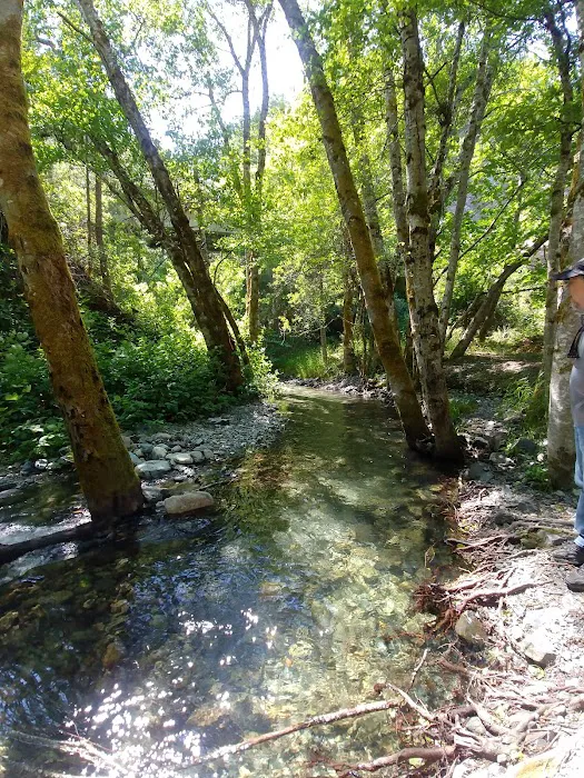 Aikens Creek West Campground Picture 8