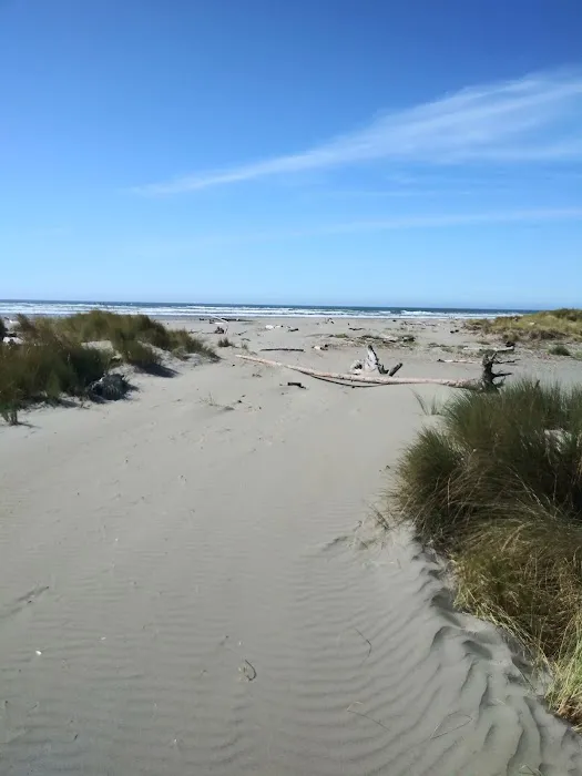 Clam Beach County Campground Picture 7