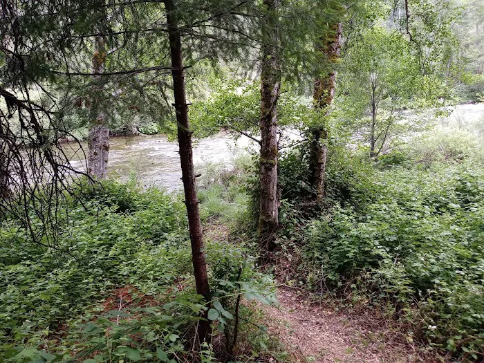 Red Bank Campground Picture 5