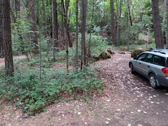 Red Bank Campground Picture 7