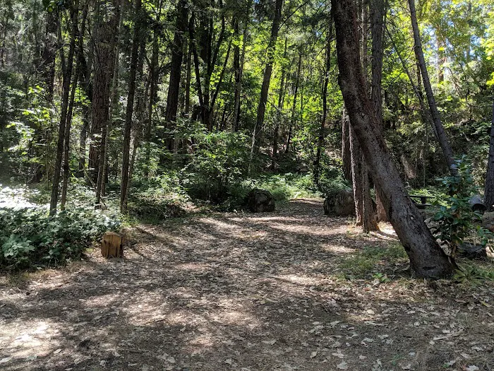 Red Bank Campground Picture 9