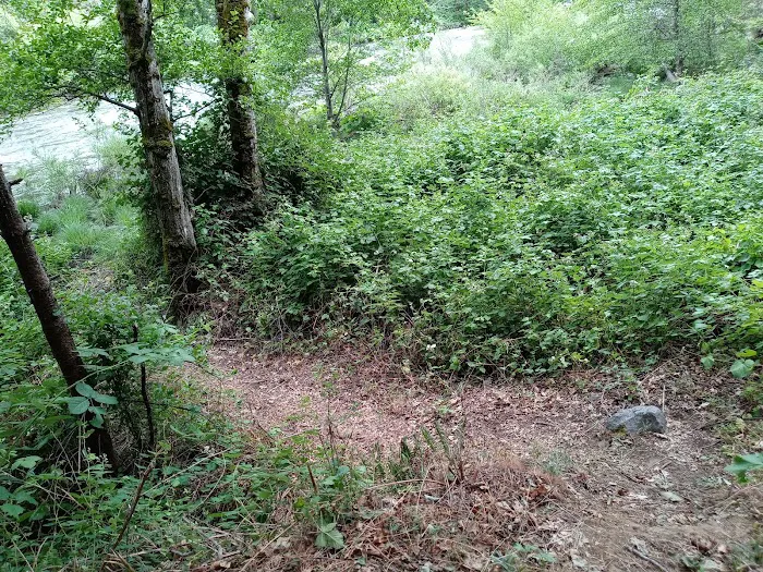 Red Bank Campground Picture 4