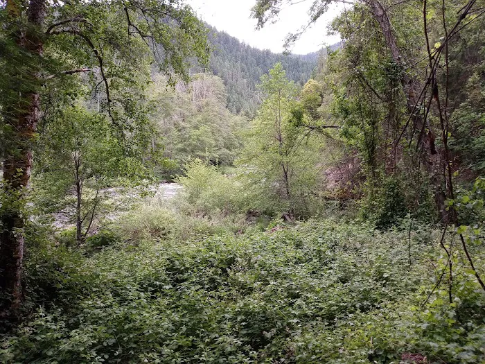 Red Bank Campground Picture 3