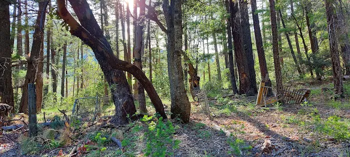 Hotelling Campground Picture 9