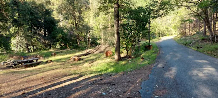 Hotelling Campground Picture 1