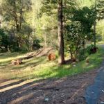 Hotelling Campground