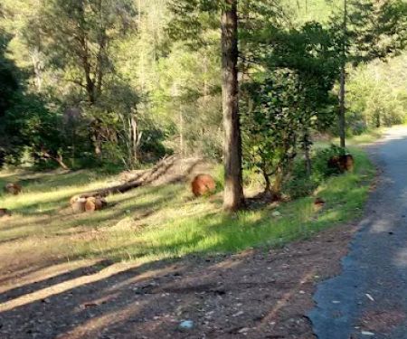 Hotelling Campground