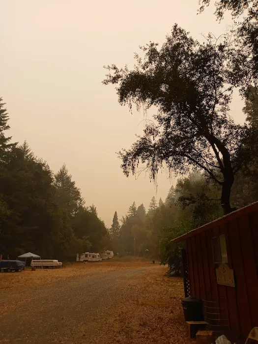 Bluff Creek Campground Picture 6