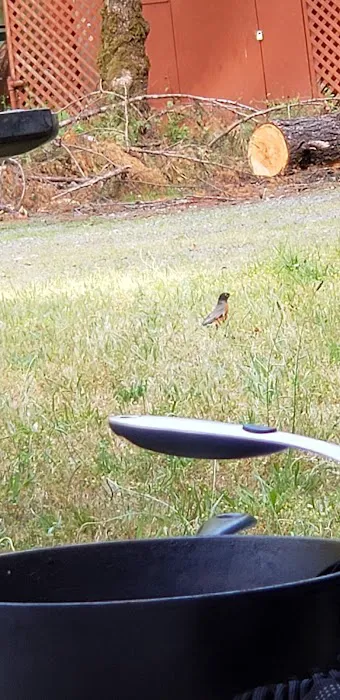 Bluff Creek Campground Picture 4