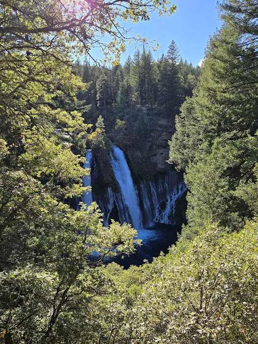 McCloud Area Picture 2