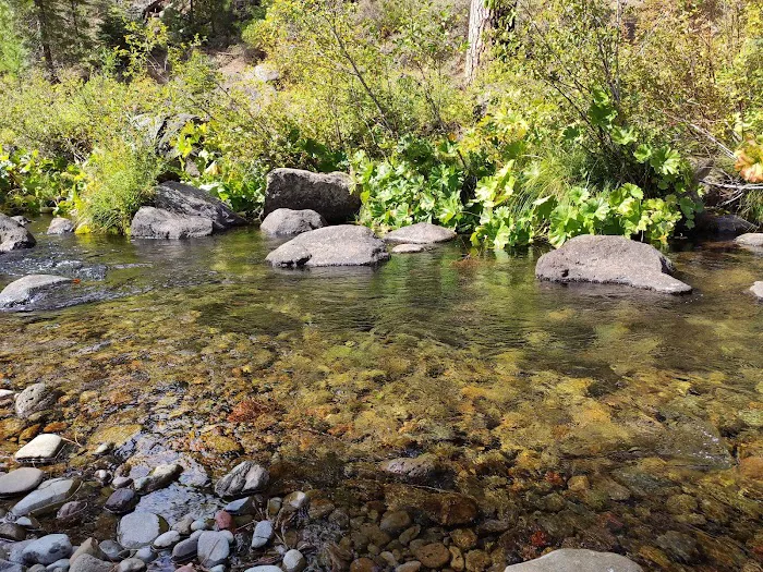 Algoma Campground Picture 6