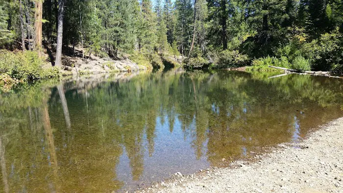 Cattle Camp Campground Picture 7