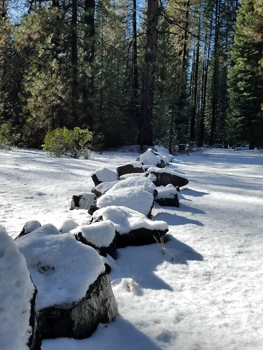Cattle Camp Campground Picture 1