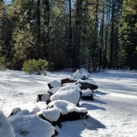 Cattle Camp Campground ico