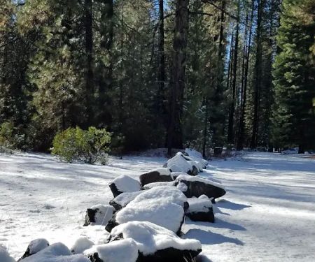 Cattle Camp Campground