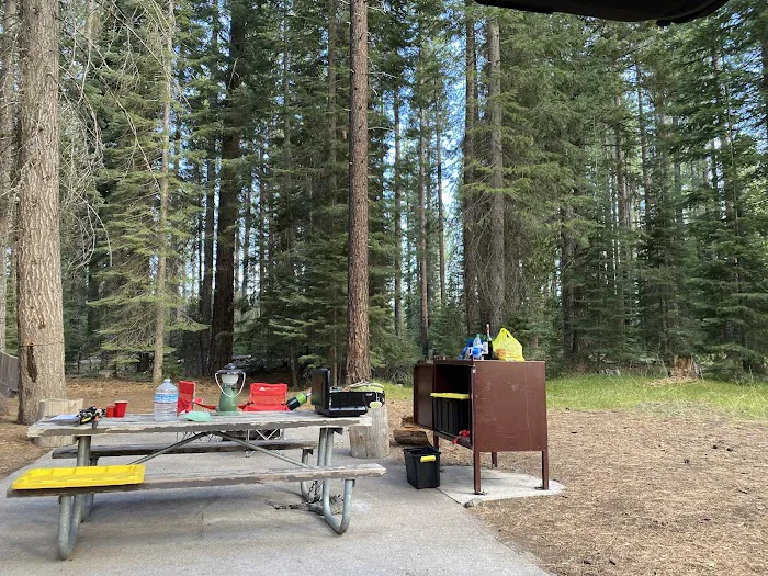 Cattle Camp Campground Picture 8