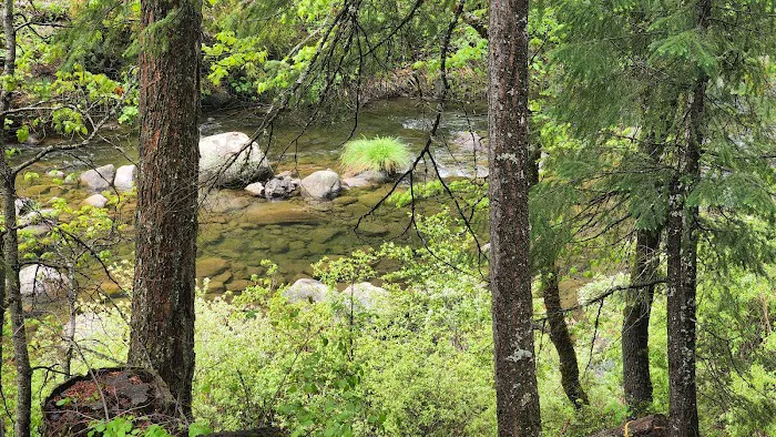 Fowlers Campground Picture 7