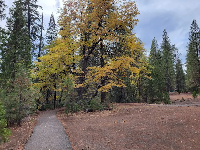 Fowlers Campground Picture 9