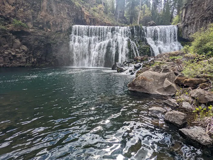 Fowlers Campground Picture 2