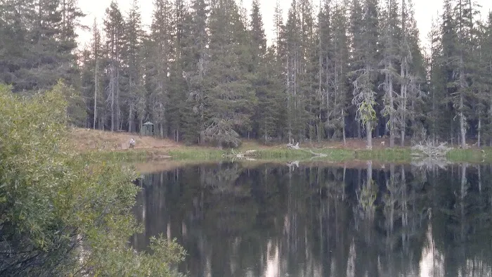 Little Medicine Lake Picnic Site (recgovnpsdata) Picture 2