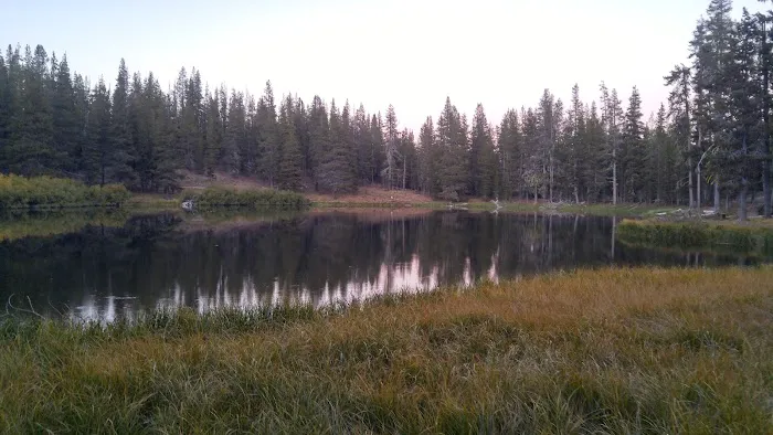 Little Medicine Lake Picnic Site (recgovnpsdata) Picture 1