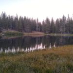 Little Medicine Lake Picnic Site (recgovnpsdata)