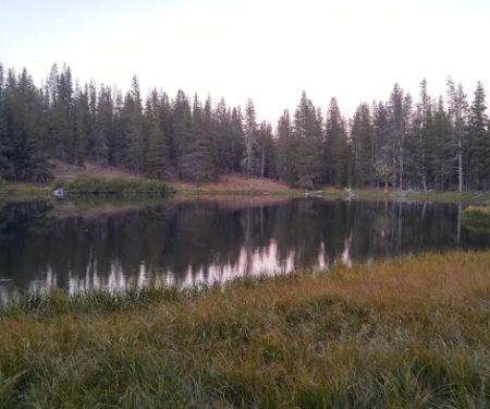 Little Medicine Lake Picnic Site (recgovnpsdata)