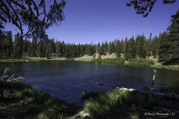 Little Medicine Lake Picnic Site (recgovnpsdata) Picture 4