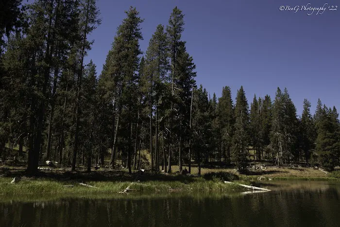 Little Medicine Lake Picnic Site (recgovnpsdata) Picture 3