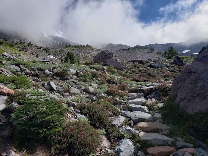 Helen Lake Campsite Picture 5