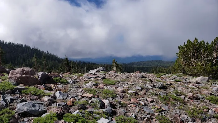 Helen Lake Campsite Picture 6