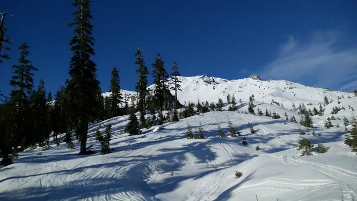 Panther Meadow Campground Picture 3