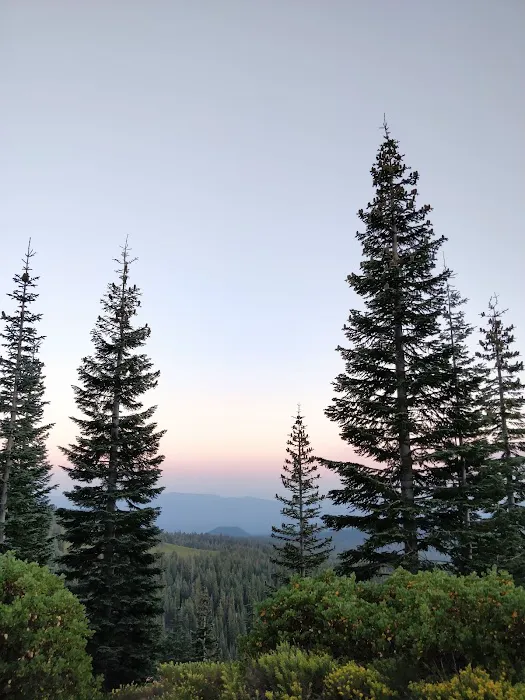 Panther Meadow Campground Picture 1