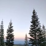 Panther Meadow Campground