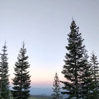Panther Meadow Campground ico