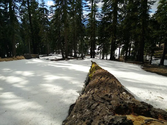 Panther Meadow Campground Picture 7