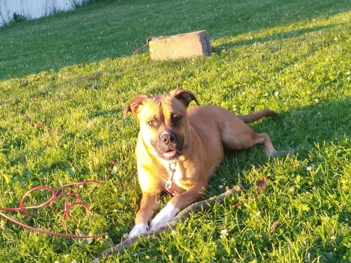 Cedar Creek Mobile Home Park Picture 4