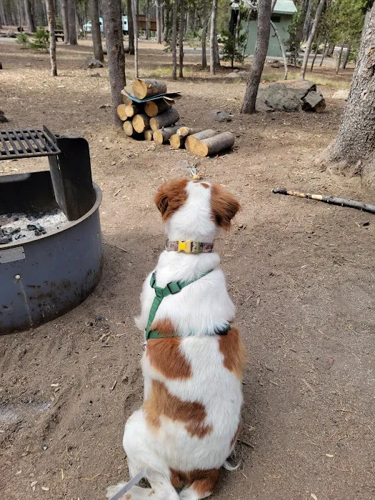 Medicine Campground Picture 1