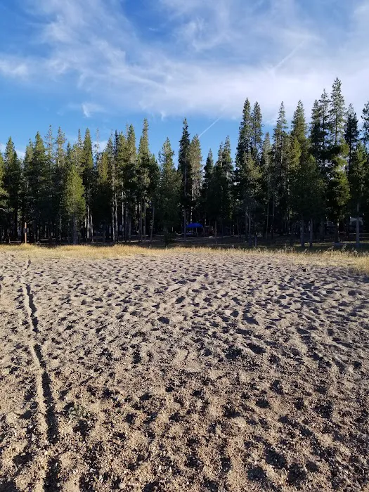 Medicine Campground Picture 3